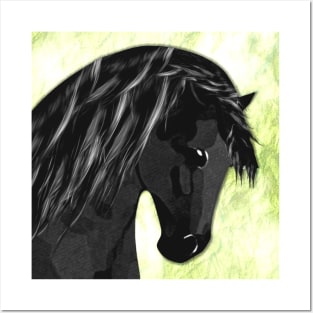 Horse Lovers Pony Stallion Posters and Art